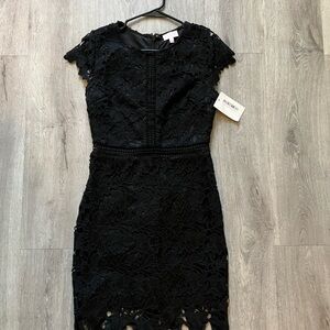 Pink Lily Black Floral Lace Midi Dress